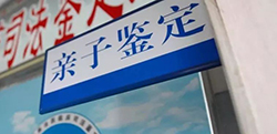 河北省司法亲子鉴定怎么做(在线咨询)，河北省司法DNA亲子鉴定的费用是多少