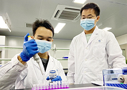 河北省隐私亲子鉴定费用多少钱，河北省隐私亲子鉴定需要什么流程