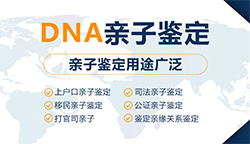 河北省隐私亲子鉴定机构在什么地方，河北省权威个人亲子鉴定机构在哪