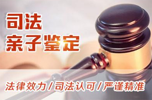 河北省司法亲子鉴定流程,