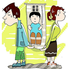 河北省私下做DNA亲子鉴定如何做，河北省匿名亲子鉴定具体流程