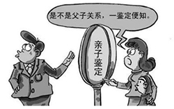 河北省隐私亲子鉴定准确吗专家咨询