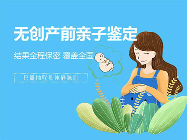 河北省刚怀孕要如何办理胎儿亲子鉴定,河北省做无创产前亲子鉴定多少费用