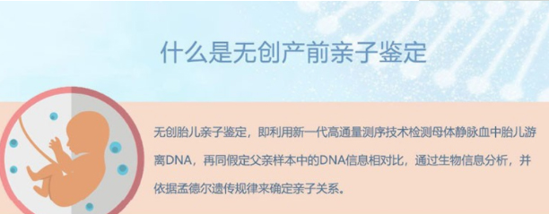 河北省刚怀孕怎么做产前亲子鉴定,