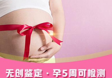 河北省怀孕十六周可以做胎儿亲子鉴定吗,