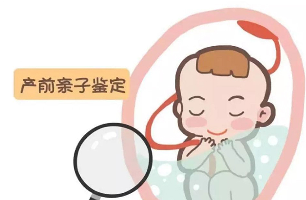 河北省产前亲子鉴定需要怎么办理,