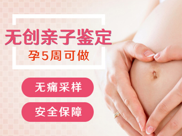 河北省怀孕如何做DNA鉴定,河北省胎儿办理亲子鉴定办理的流程