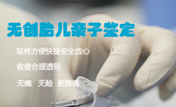河北省孕期亲子鉴定价格（免费咨询）