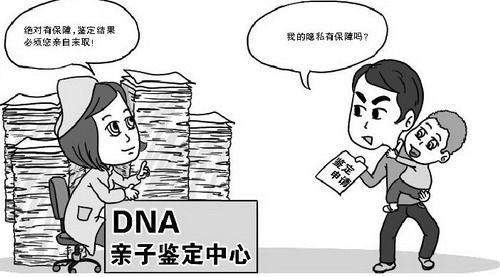 河北省司法亲子鉴定的流程,河北省司法亲子鉴定预约流程