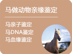 河北省马做动物亲缘鉴定