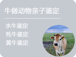 河北省牛做动物亲子鉴定