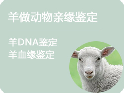 河北省羊做动物亲缘鉴定
