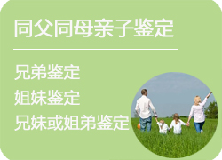 河北省同父同母亲缘鉴定