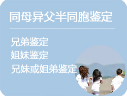 河北省同母异父半同胞鉴定