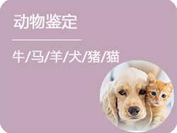 河北省动物鉴定